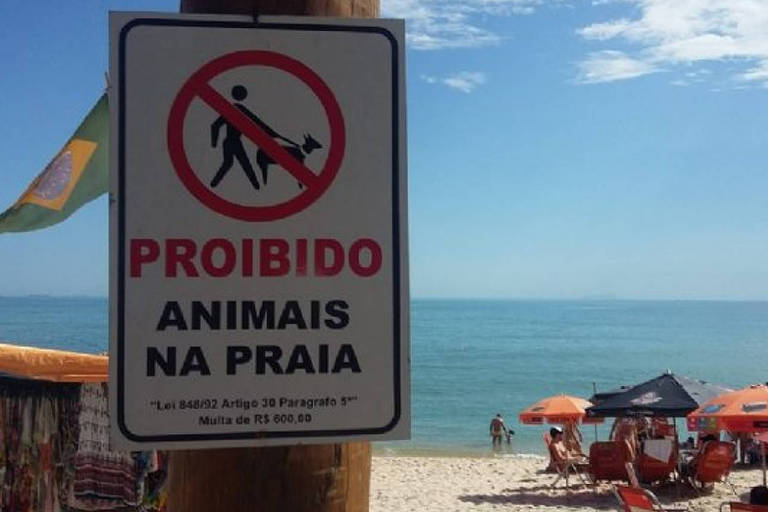 Multa para quem leva cachorro à praia em São Sebastião (SP) sobe para R$ 2.000