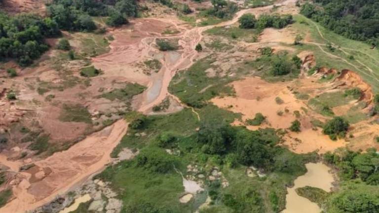 Uso de técnicas brasileiras de garimpo teria agravado os danos ambientais na região