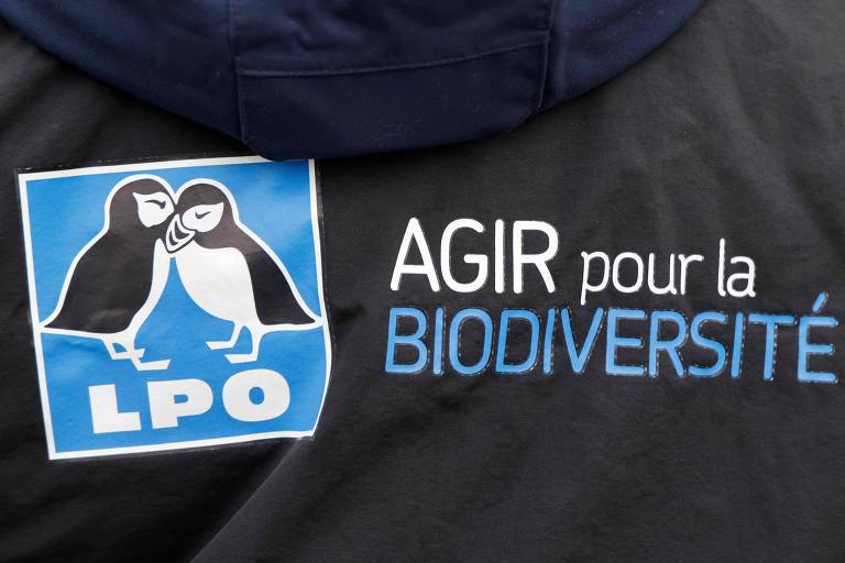Banner do grupo francês Liga pela Proteção das Aves durante protesto em Paris; a França é o país com a maior diminuição da população de pássaros nos últimos 40 anos