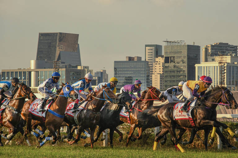 Câmara de SP votará projeto que pode acabar com corridas de cavalo do Jockey Club