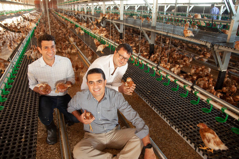 Três homens brancos seguram galinhas dentro de um aviário