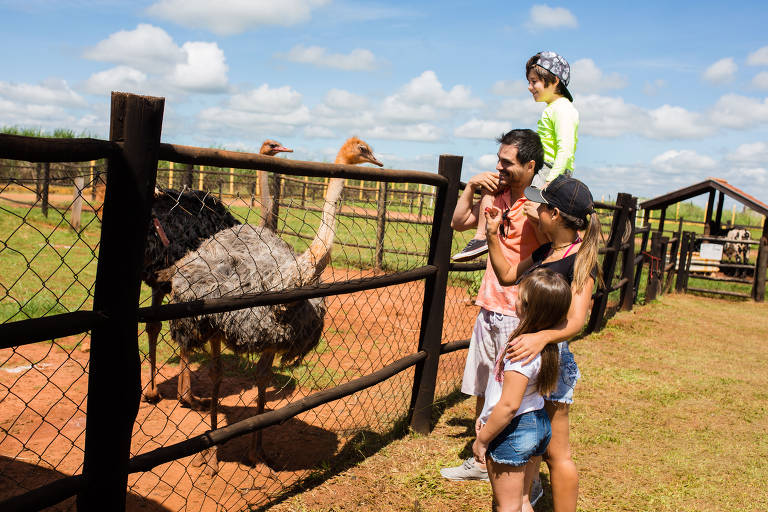 Resorts reforçam programação para as férias de julho