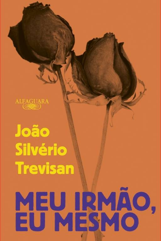 'Meu Irmão, Eu Mesmo', livro de João Silvério Trevisan lançado em maio de 2023