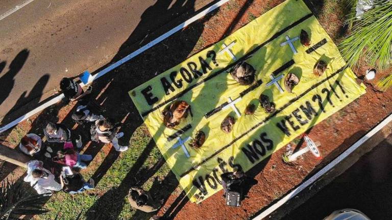 Visão aérea do protesto que ocorreu em frente ao Dnit de Campo Grande, no Mato Grosso do Sul, com animais mortos sobre uma grande placa no chão