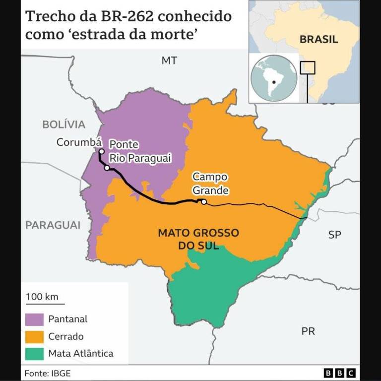 Mapa mostra trecho da BR-262, em Mato Grosso do Sul, onde ocorrem mais atropelamentos de animais silvestres