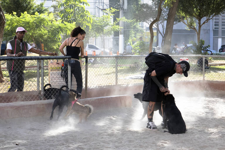 Um homem e uma mulher brincam com seus cães na área da praça, em meio a nuvem de fumaça fina erguida pela movimentação dos animais.