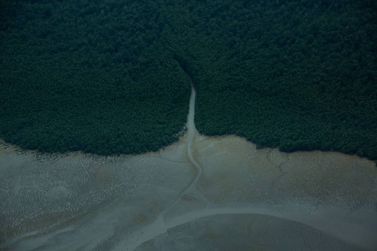 Vista aérea da foz do amazonas