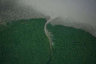 Expedição Corais da Foz do Amazonas 