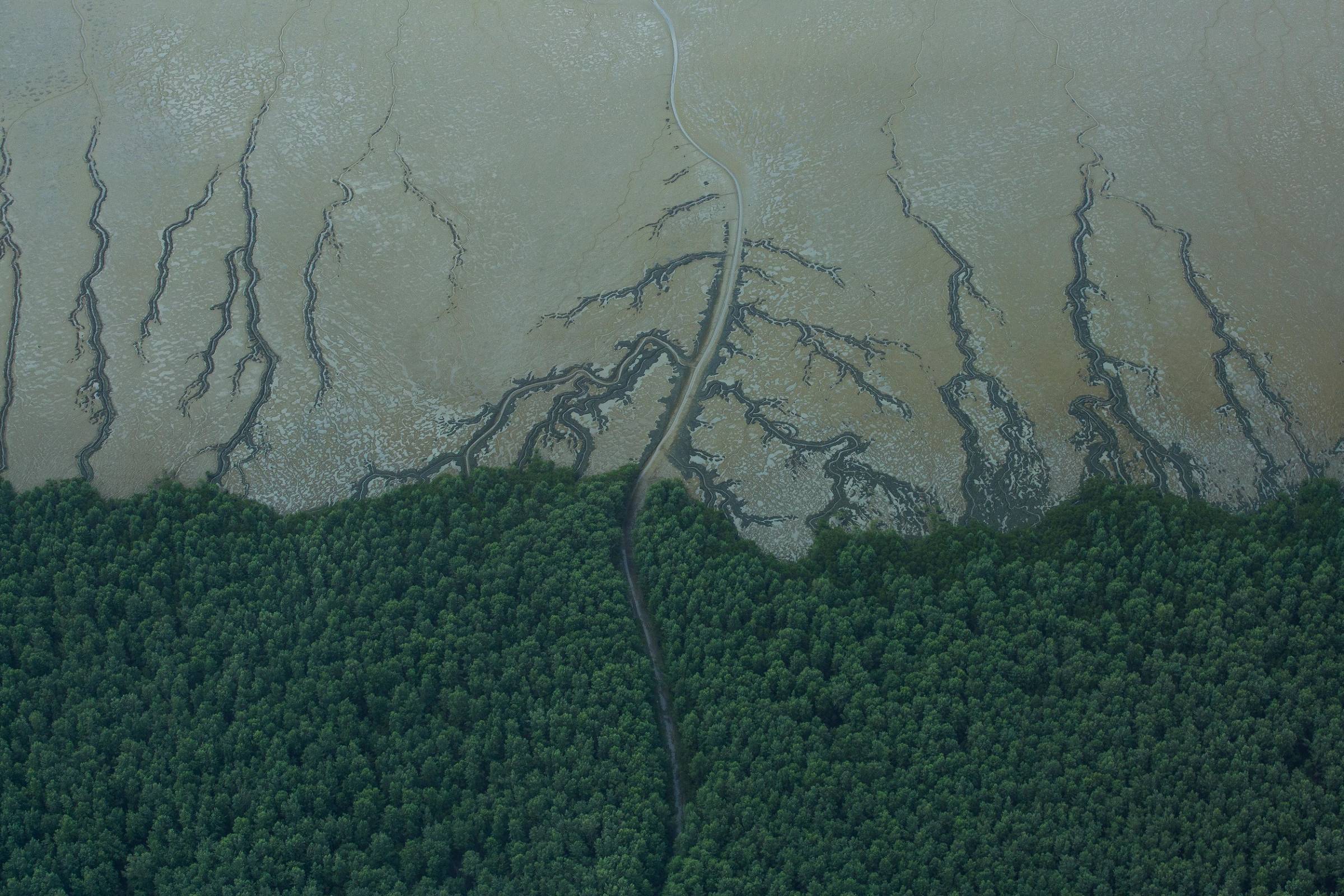 Ibama sees unfeasible oil beyond Foz do Amazonas – 09/01/2023 – Environment