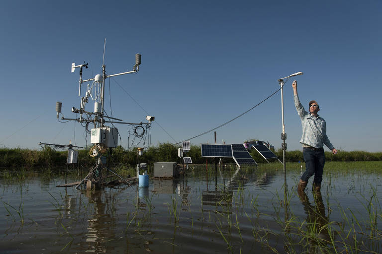 Benjamin Runkle, professor de engenharia, da Universidade de Arkansas, com equipamento que mede gases produzidos por campos de arroz inundados, em Humnoke, Ark