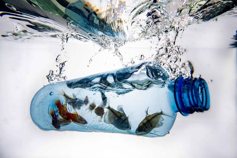 Garrafa plástica com peixes dentro afunda em água com poluição plástica