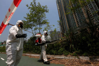 Workers from the Food and Environmental Hygiene Department kill mosquitoes outside a construction site near a residential area in Hong Kong