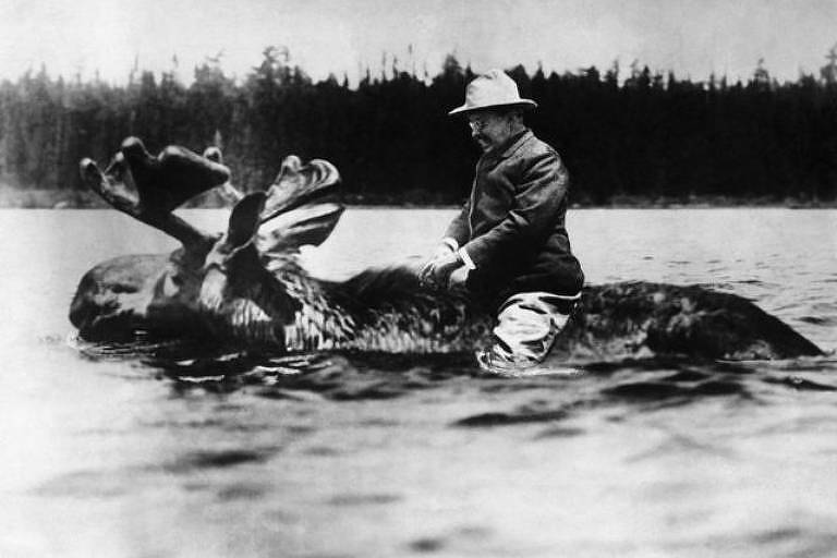 Theodore Roosevelt, presidente dos Estados Unidos entre 1901 e 1909, aparece montado em um alce quando ainda era candidato