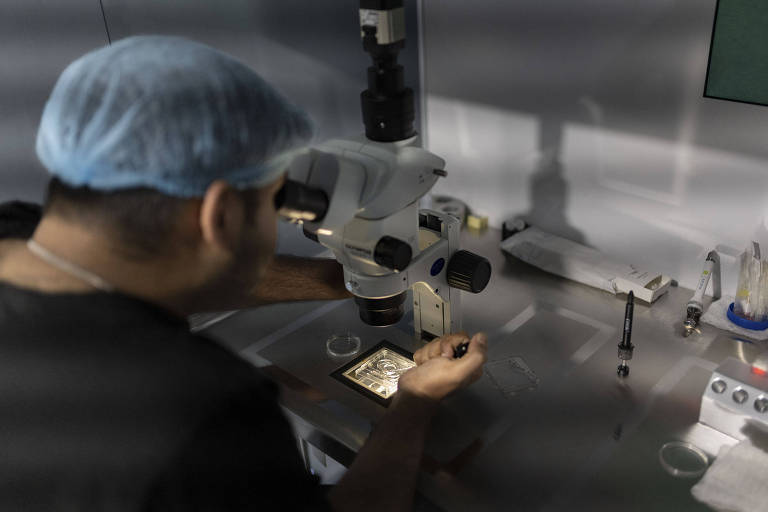 Embriologista acompanha a fertilização in vitro no Centro de Fertilidade Newlife, na Índia