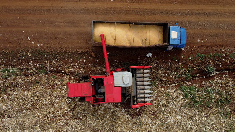 A agropecuária teve crescimento de 21,6% em relação ao quarto trimestre de 2022. É a maior alta do segmento desde o quarto trimestre de 1996