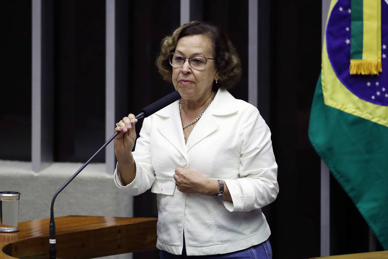 Deputada Lídice da Mata (PSB-BA) defende votar projeto de economia criativa no 1º semestre de 2024