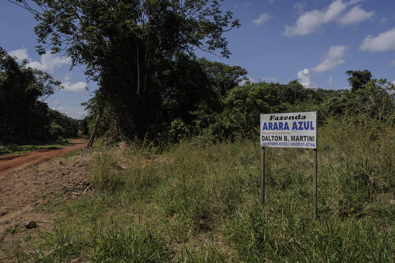 Terra Indígena Batelão é dominada por fazendas no norte de Mato Grosso