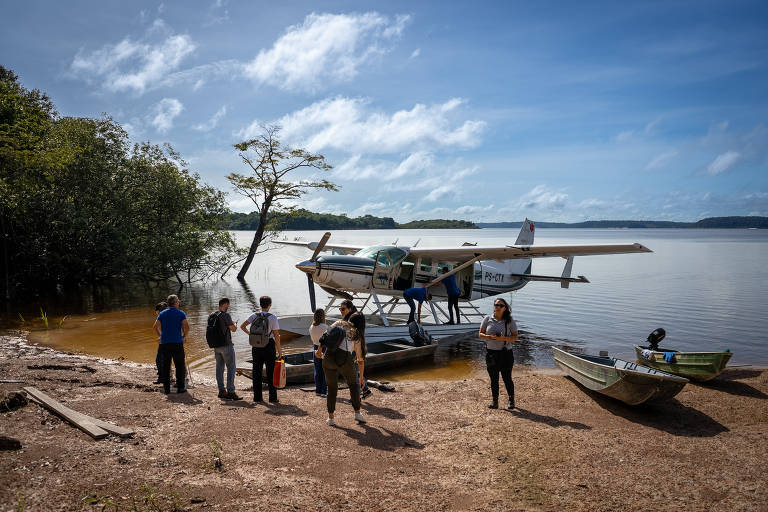 Bioeconomia avança em comunidades florestais do Amazonas