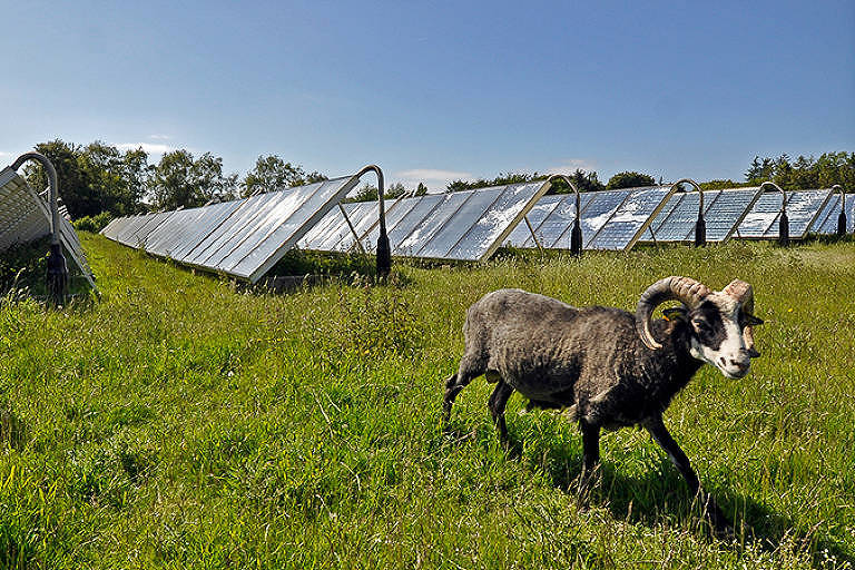 Ilha na Dinamarca produz mais energia limpa do que consome e vira modelo internacional