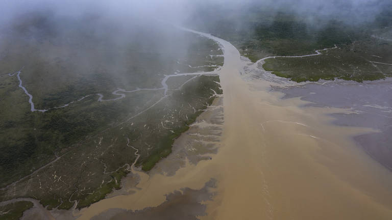 Um rio morre e outro nasce: hidrelétrica e búfalos alteram paisagem e vida de ribeirinhos no Amapá