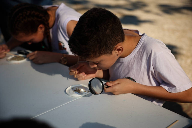 Imagem colorida mostra uma criança usando uma lupa para olhar materiais coletados na praia que estão em cima de uma mesa.