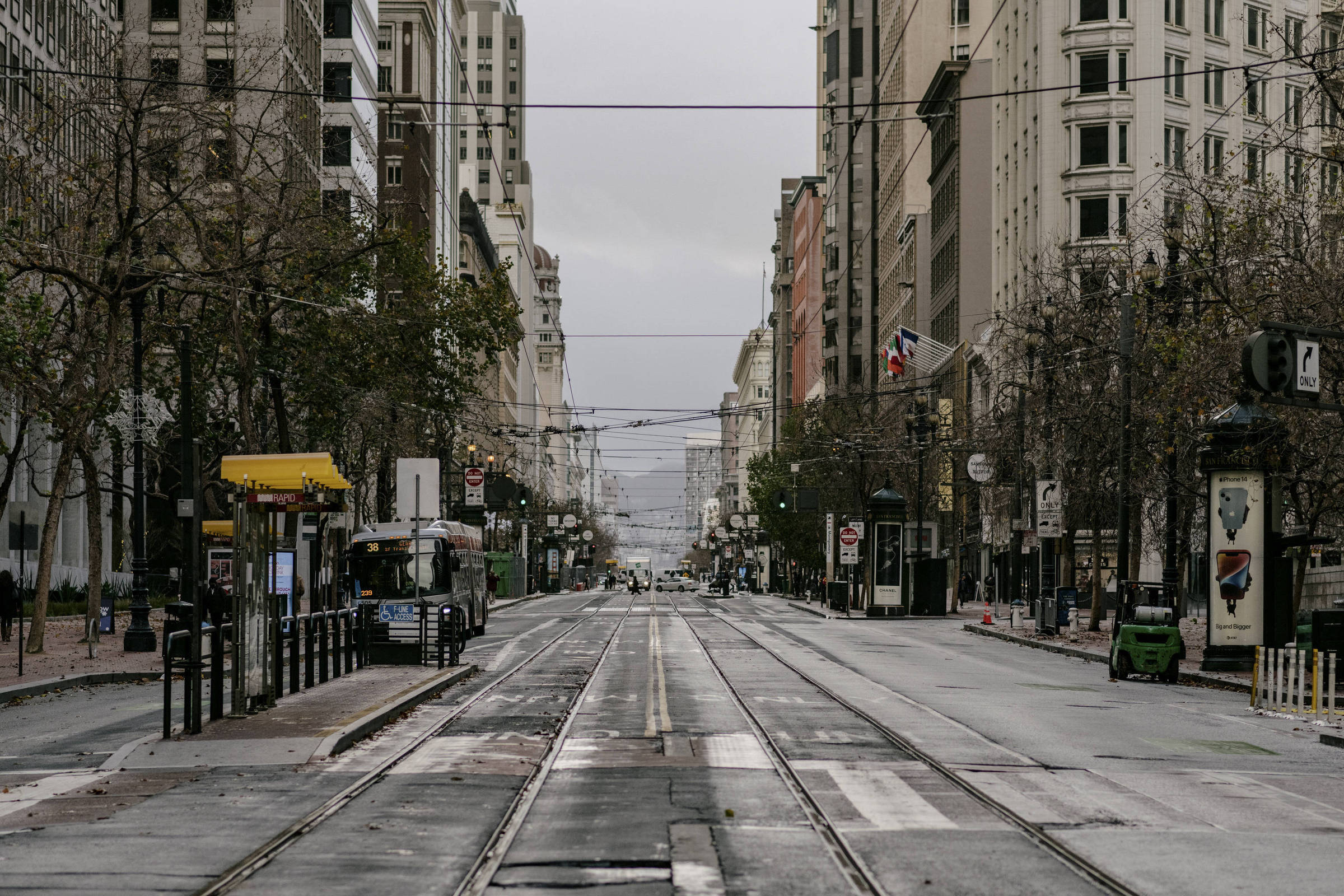 Grão de Gente - Esse nome é tendência em 2023! Conhece alguma