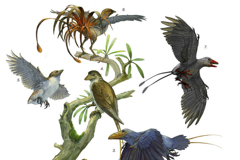 Pesquisadores tentam entender como dinossauros com penas deram origem aos pássaros atuais