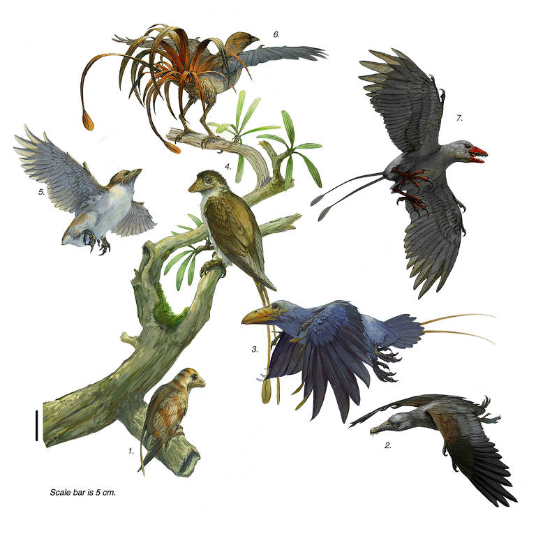 Impressões artísticas dos distantes parentes dos pássaros modernos, 125 milhões de anos atrás