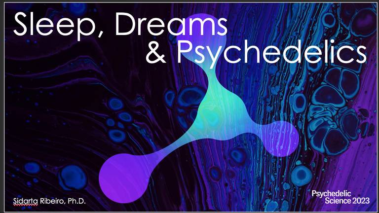 Slide de PowerPoint com a frase "sonho, sonhos e psicodélicos" em inglês