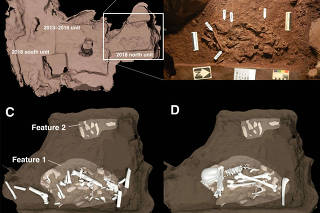 Handout images show a diagram of burial areas from the excavations at the Rising Star cave in South Africa: A, a map of the main burial areas; B, a photograph of the body of an adult Homo naledi; C and D, illustrations of the bonesÕ positions in the graves. Feature 1 is the body of an adult, and Feature 2 is at least one juvenile body. (Berger et al., 2023 via The New York Times)