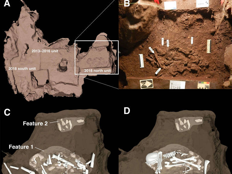 Quatro imagens mostram um diagrama das áreas de sepultamento das escavações na caverna Rising Star na África do Sul: A, um mapa das principais áreas de sepultamento; B, uma fotografia do corpo de um Homo naledi adulto; C e D, ilustrações das posições dos ossos nas sepulturas