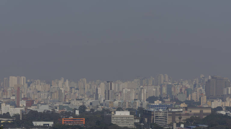 Imagem mostra linha de prédios no horizonte distante, com o céu cinza, tomado pela poluição