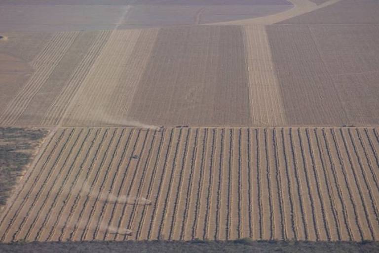 BBC - NÃO USAR - Cerca de 45% da área desmatada do cerrado deu lugar à agropecuária, como plantação de soja