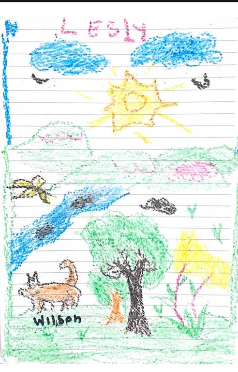 Crianças resgatadas na Colômbia fizeram desenhos sobre dias na floresta