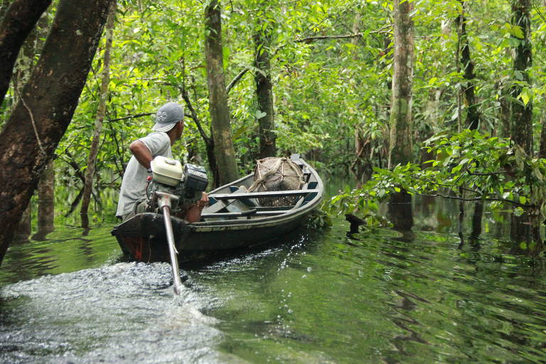 De canoa (rabeta) a caminho de local para fazer o inventário das florestas na região de Tefé, no Amazonas. Esse é o principal meio de transporte nas expedições de campo na Amazônia central