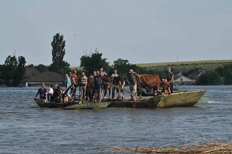 Socorristas ucranianos retiram moradores locais e vacas em barco improvisado na vila de Afanasiivka, em Mikolaiv, após nível da água do rio Infulets aumentar e alagar região como consequência do rompimento da barragem Kakhovka, em Kherson 