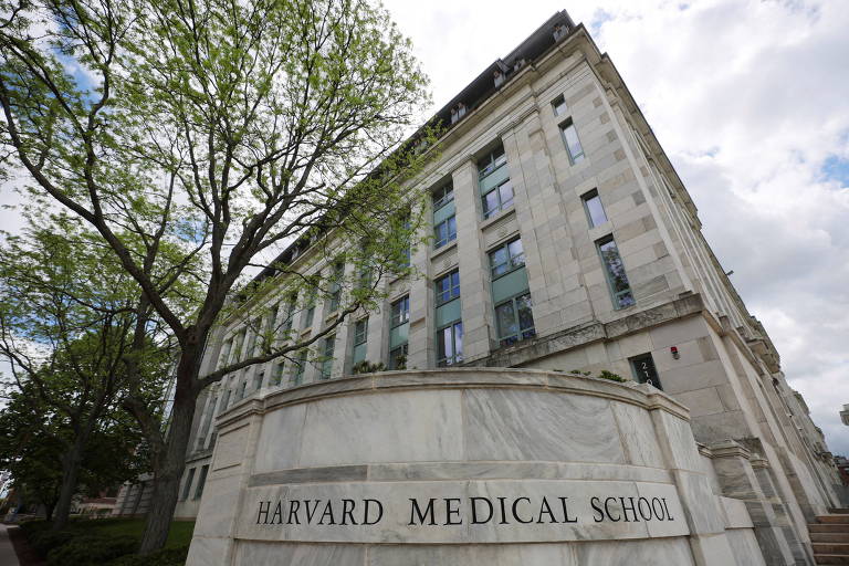 Harvard vence ação em que era acusada de 'má gestão' de corpos doados para estudo