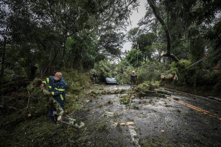 Equipes da prefeitura estão realizando o serviços de remanejo das árvores que bloquearam a Costa Gama com a Gedeon Leite, em Porto Alegre (RS)