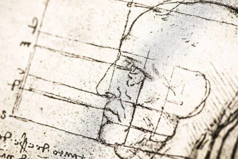 4 tentativas de descobrir as proporções ideais do corpo humano e como da Vinci chegou ao 'desenho mais famoso do mundo'
