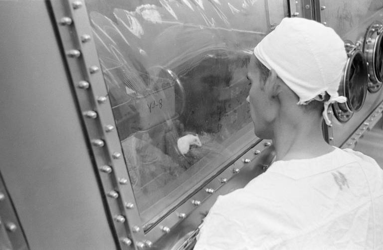 Um técnico examina ratos que foram inoculados com material de amostra lunar coletado durante a missão lunar Apollo 11, no Laboratório de Recepção Lunar do Centro Espacial Johnson, em Houston