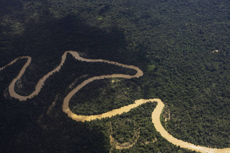 59% dos rios habitados por yanomamis sofrem impacto de garimpo e invasões