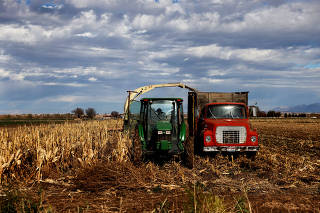 FILE PHOTO: Man driving a tractor tends to corn fields in Star, Idaho