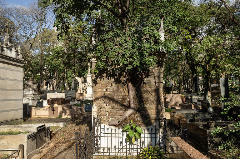 Detalhe de Jazigo em ruínas em uma das alamedas do cemitério da Consolação