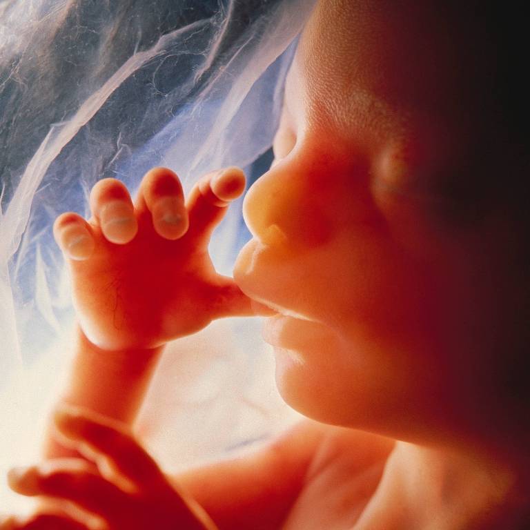 Imagem de um feto com o dedo na boca dentro da barriga da mãe