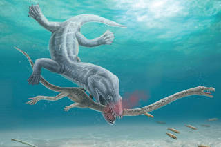 An artist's rendition of a marine reptile predator attacking and decapitating a long-necked marine reptile