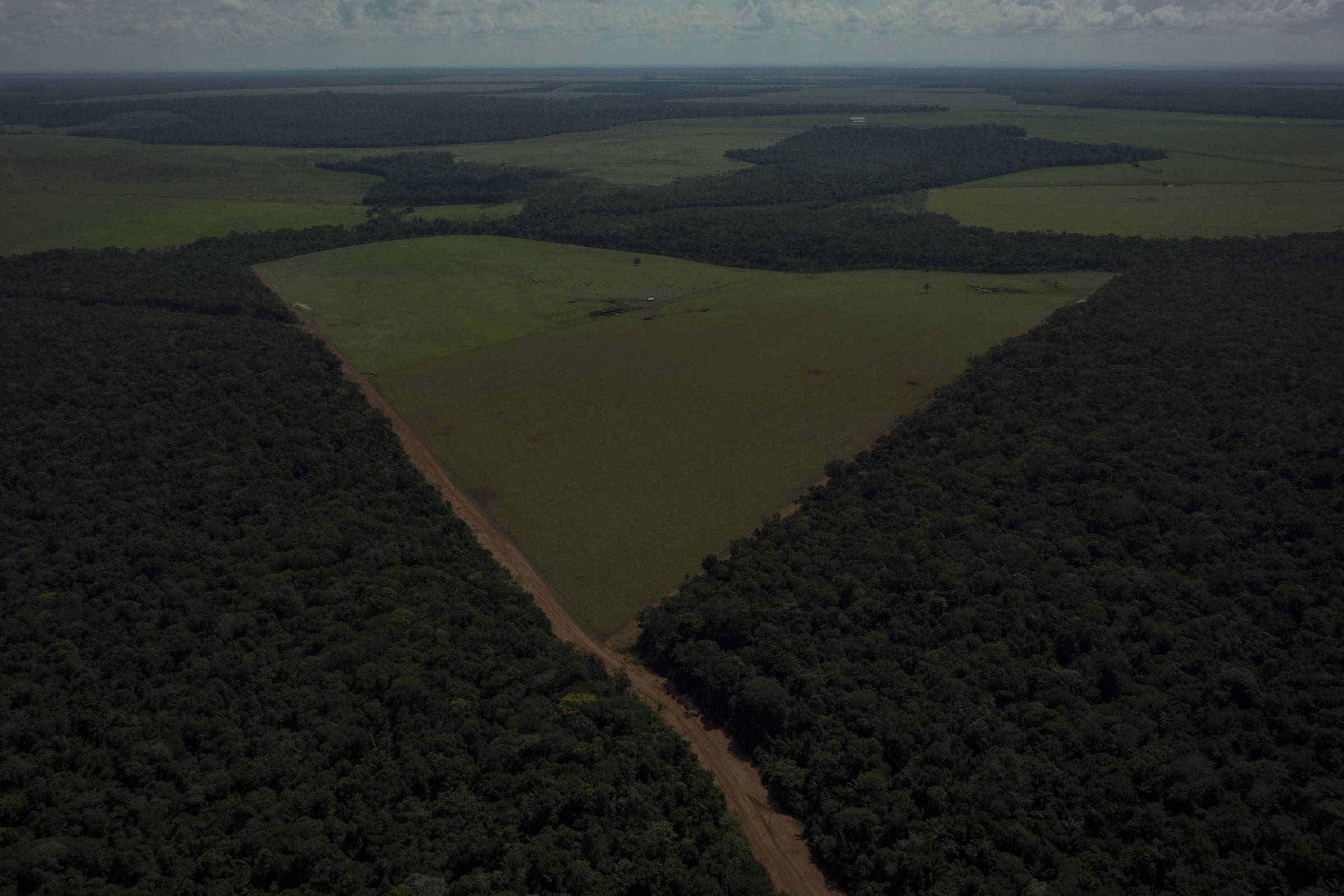 Votação para Benoni em Minas Gerais