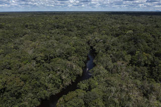 Área de floresta amazônica em Barcelos, no Amazonas, cortada pelo igarapé Tabaco