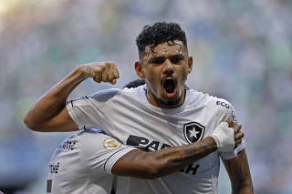 Brasileiro Championship - Palmeiras v Botafogo