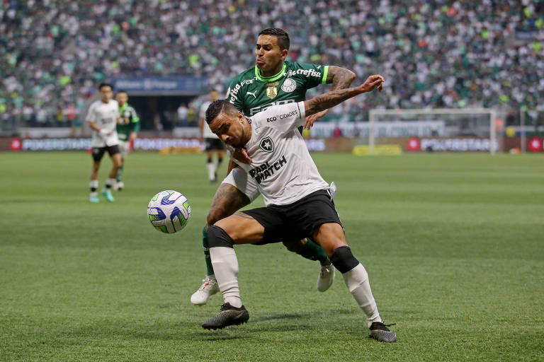 O Botafogo não é o Arsenal; e o Palmeiras não é o City