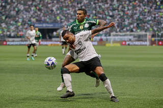 Brasileiro Championship - Palmeiras v Botafogo